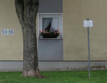 Mitbewohner, La Calera, La Gomera, Zimmerwand