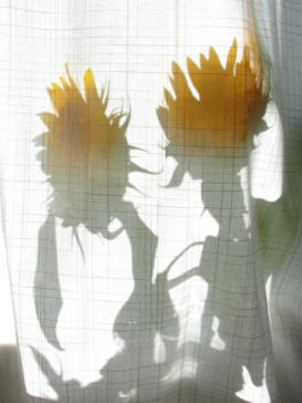 verschleiert - am Fenster