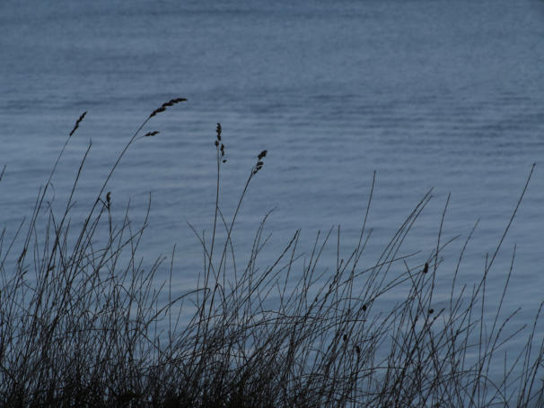 Ostsee, Brodtener Ufer, 2021