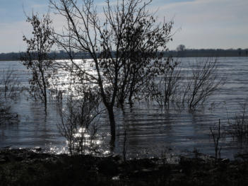 am Rhein bei Beeckerwerth