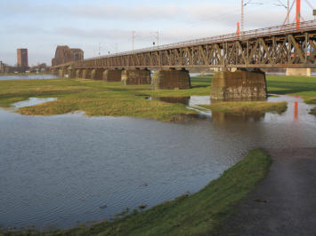 Februar- Hochwasser am Rhein, Haus-Knipp-Brücke, B'werth