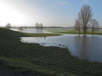 Februar-Hochwasser am Rhein bei Beeckerwerth