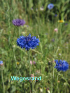 Wegesrand