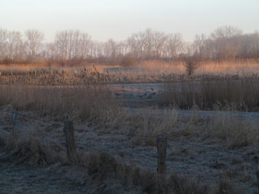 Vom Deich bei Wedel, Morgenstimmung 