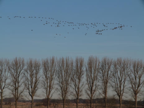 Hinterm Deich, Wedeler Westen